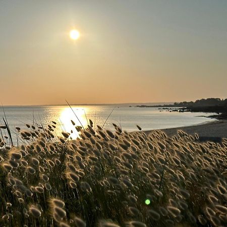 Les Suites De Bougainville Concarneau Dış mekan fotoğraf
