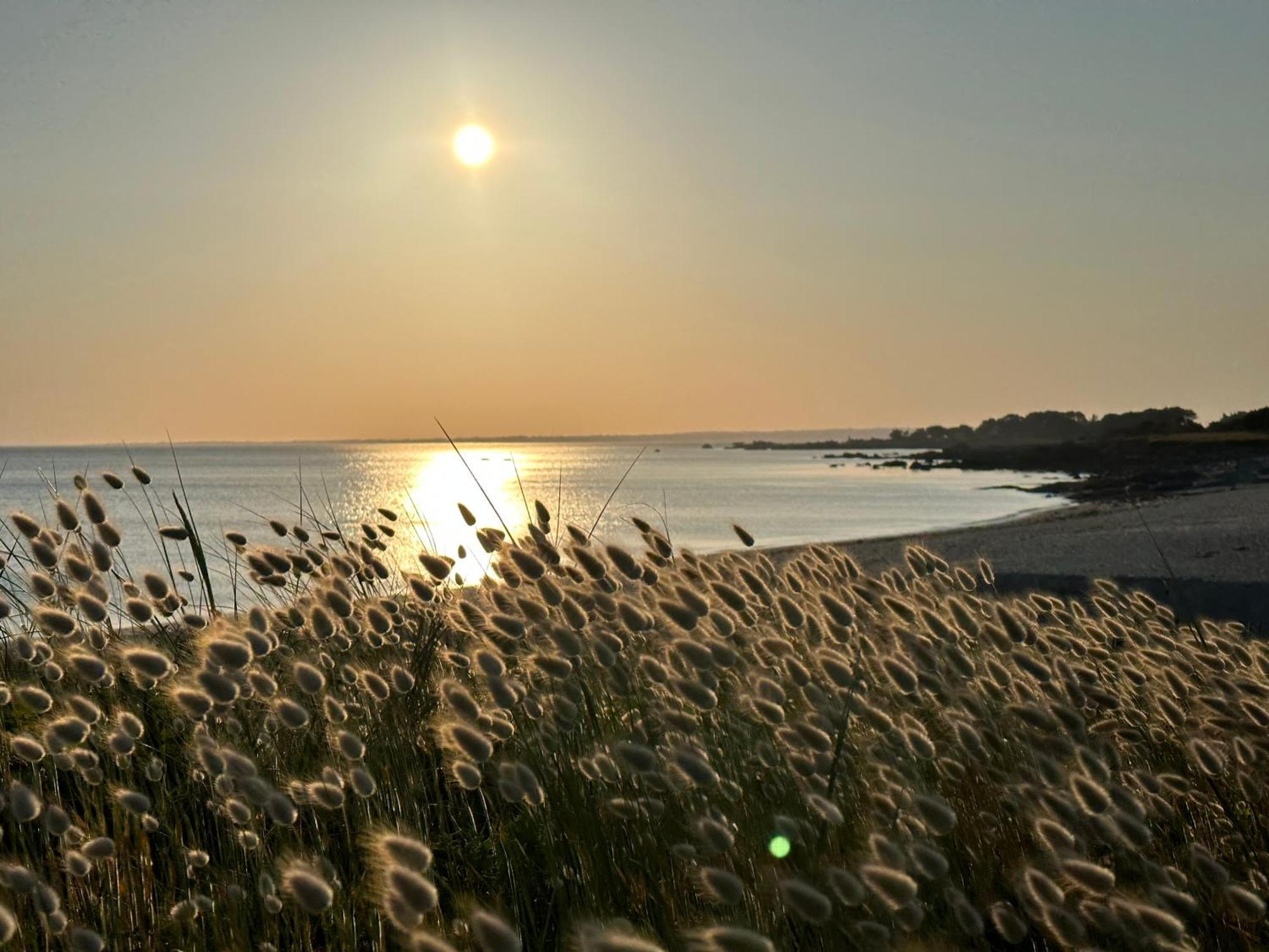 Les Suites De Bougainville Concarneau Dış mekan fotoğraf